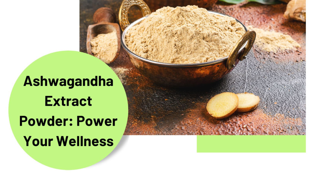The Power of Ashwagandha Extract Powder: How this Ancient Herb is Helping Modern People Live Healthier Lives