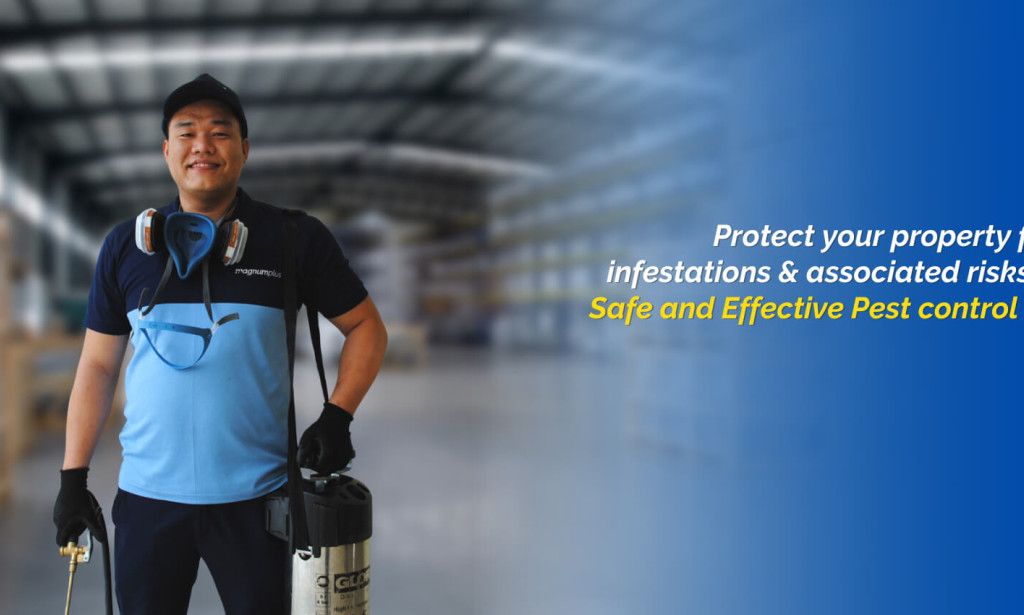 Effective Pest Control Solutions in Dubai: Safeguarding Homes and Businesses