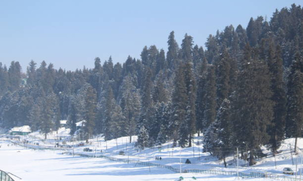 A Love Affair with Nature: Kashmir's Best Honeymoon Destinations