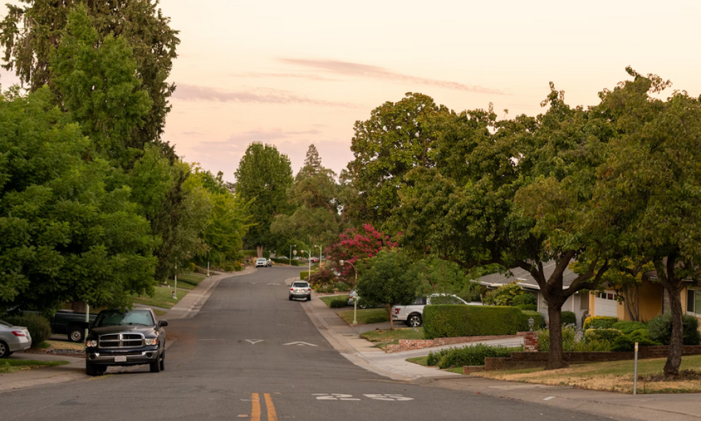 The Role of Development Loans in Urban and Suburban Growth