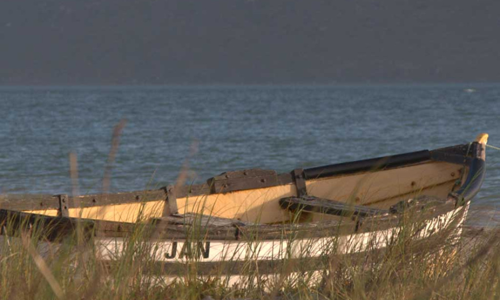 Exploring Nature’s Charm: A Journey through Overberg and Bot Rivier