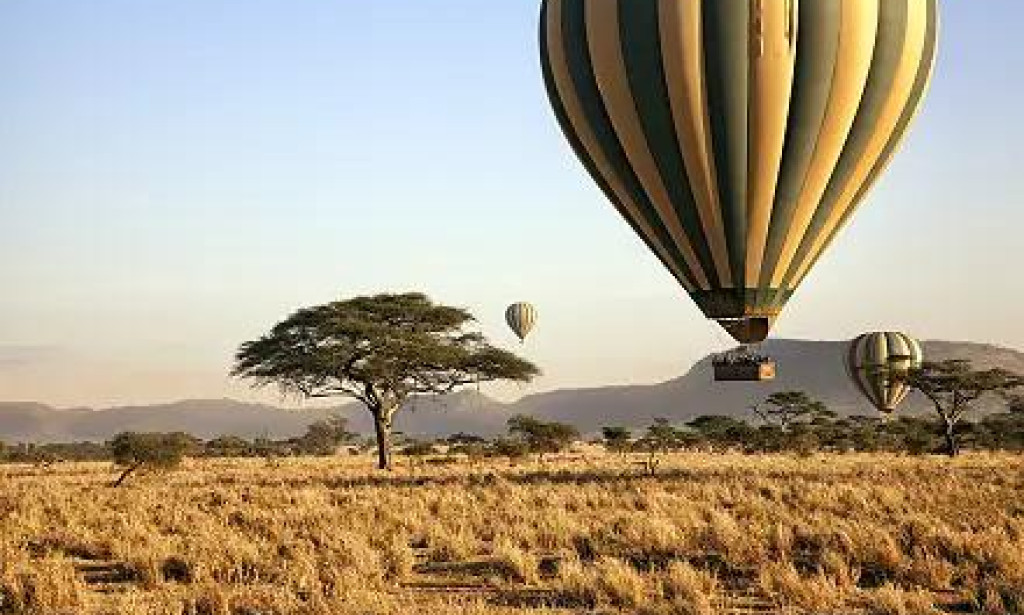 African Travel Guide to Hot Air Balloon Rides Prices Johannesburg and Unforgettable Safari Holidays