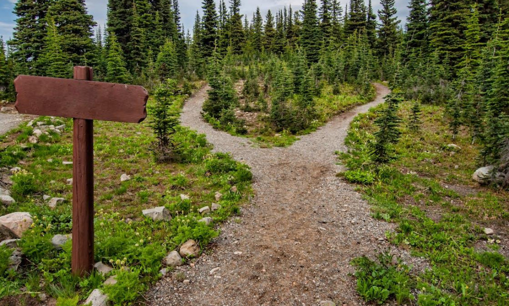 When to Seek a Guide: Life Coaching vs. Counseling for the Christian