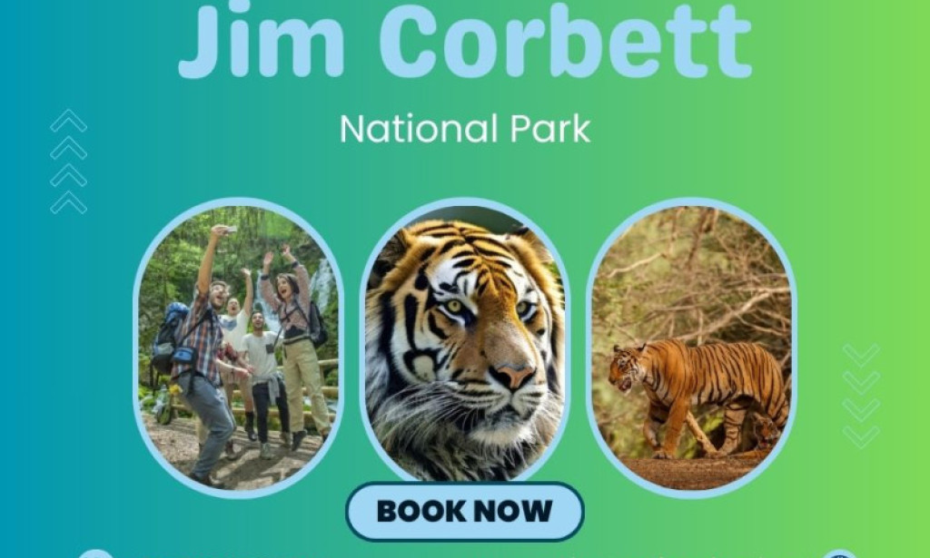 Unmasking Monsoon Myths: Why June Is the Smartest Time for a Corbett National Park Tour