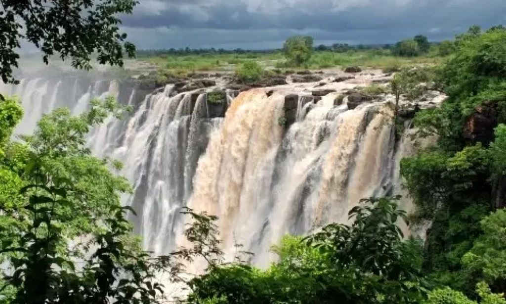 Safari Tours in Africa Discover the Ultimate Botswana Safaris Tours Experience