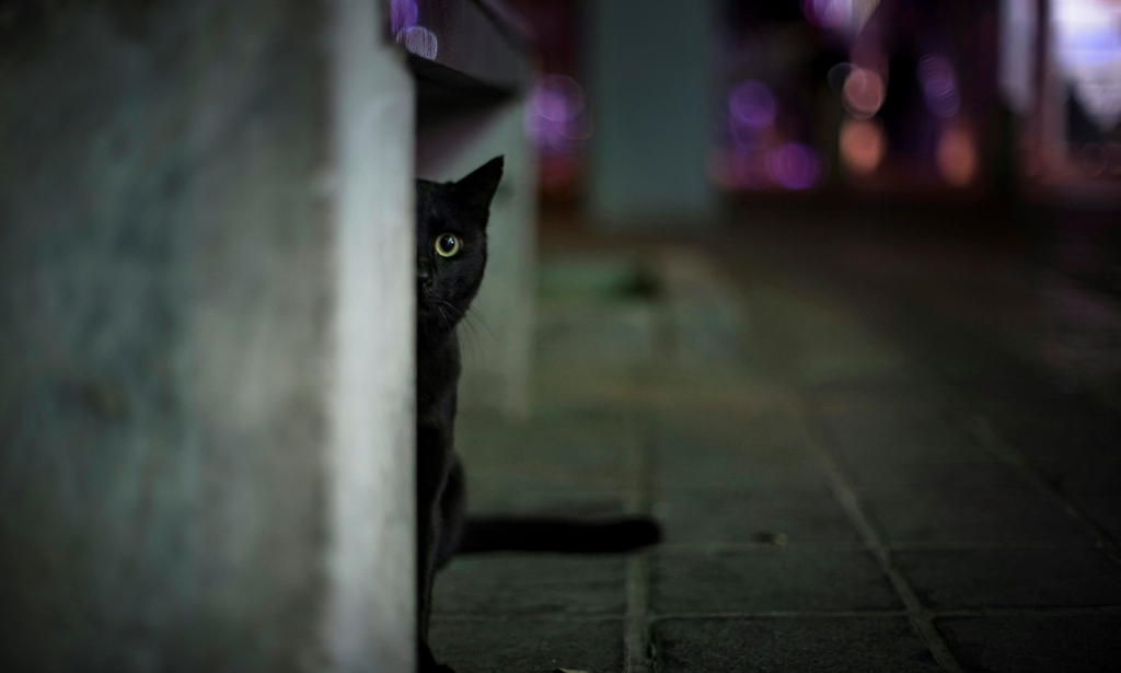 Understanding Betrayal Trauma