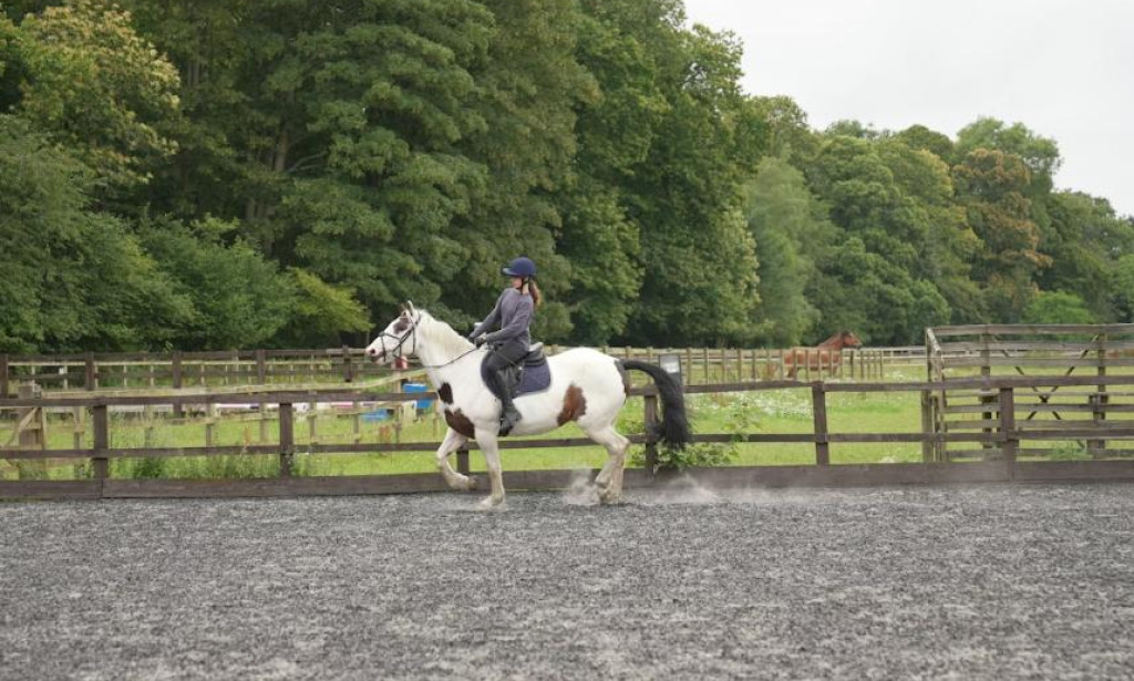 Choosing the Right Arena Groomer: Tractor vs ATV Models Explained
