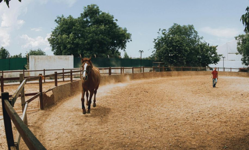 Uneven Footing? Here’s What Your Arena Is Trying to Tell You