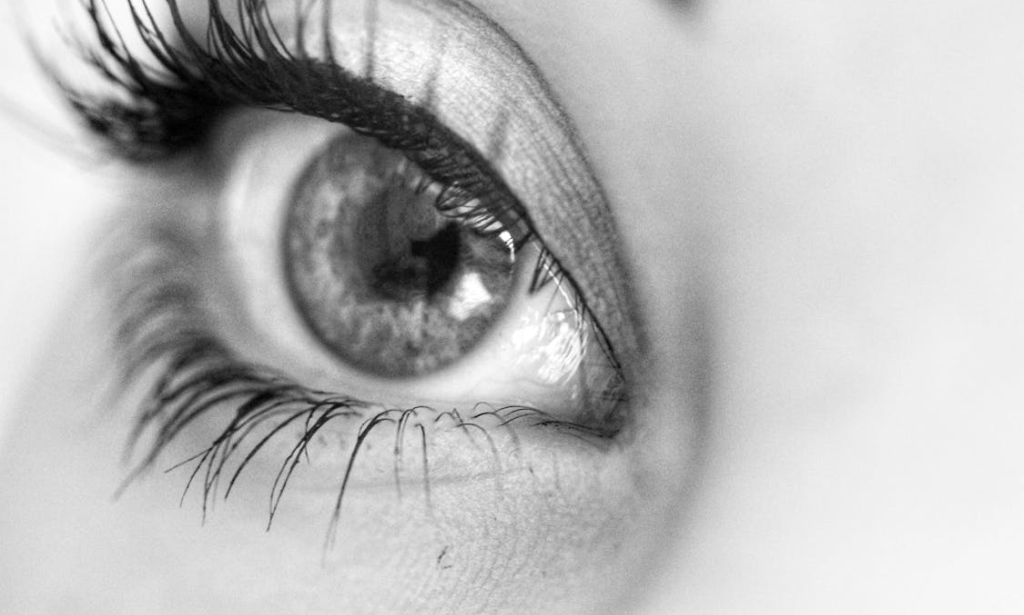 Soft Definition Lash and Brow Services for Effortless Everyday Beauty in Fort Worth